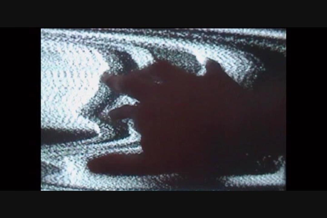 Avenue X (2 DVDs) サンプル画像