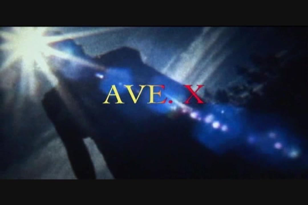 Avenue X (2 DVDs) サンプル画像