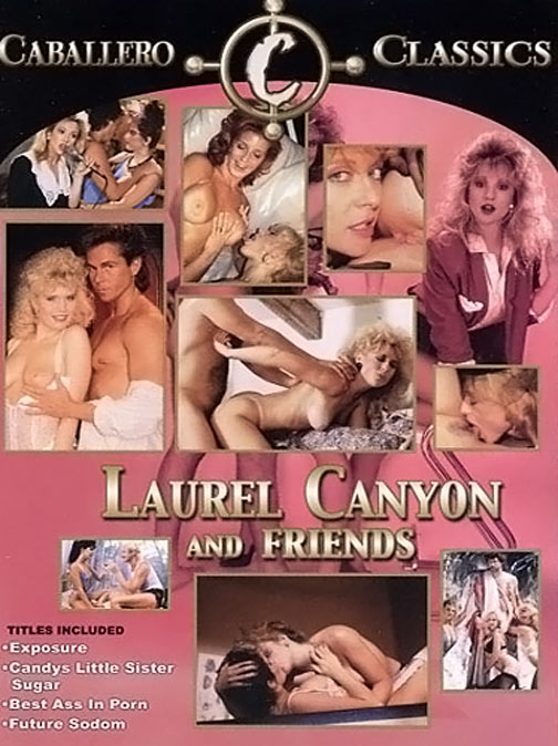 Laurel Canyon And Friends (4 DVD Set) サンプル画像