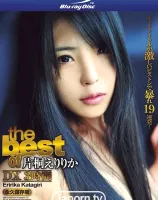 S Model 65 〜The Best of 片桐えりりか〜 : 片桐えりりか (ブルーレイディスク版)