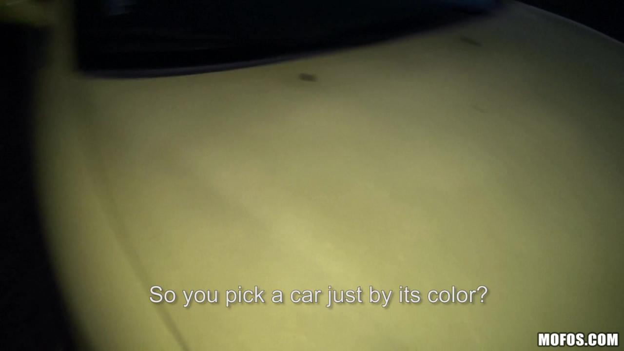 Public Pickups 10 サンプル画像