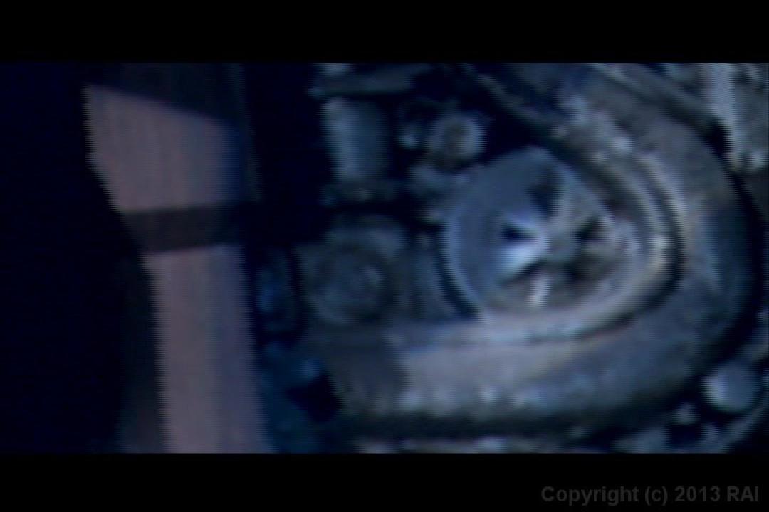 Larry Flynt's Private Collection 6: Taboo サンプル画像28