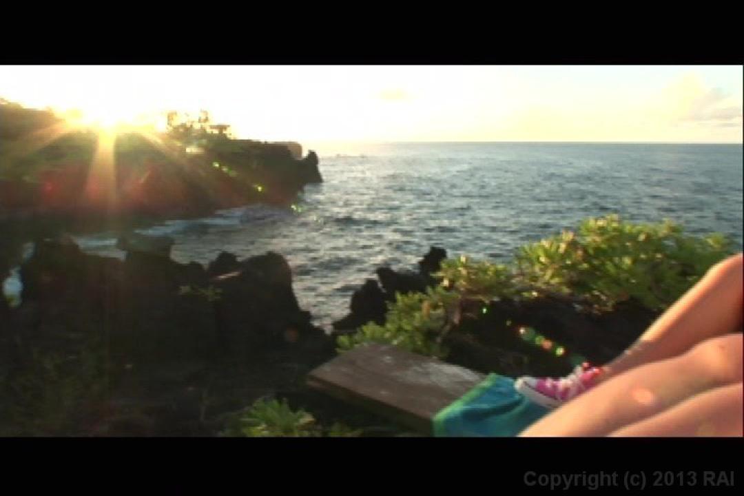 Teradise Island サンプル画像