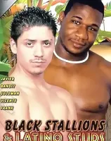 ブラック スタリオンズ & ラーティーノ スタッド