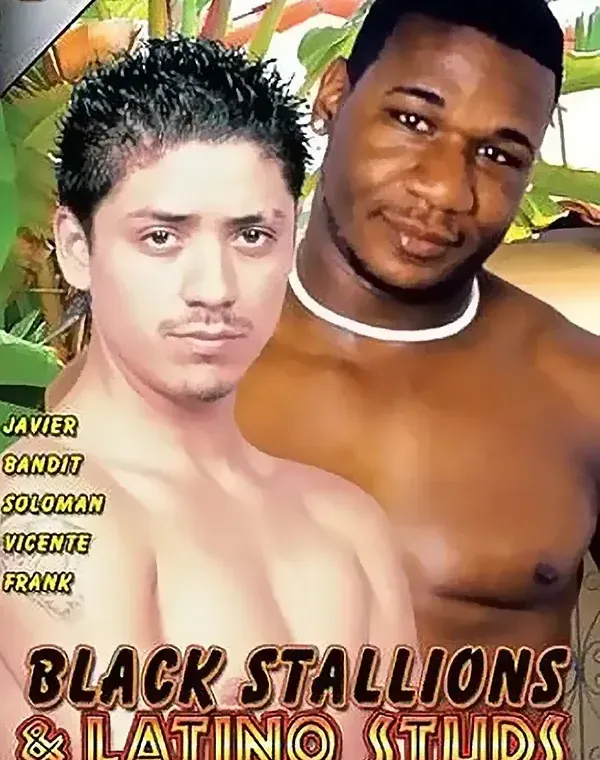 Black Stallions & Latino Studsダウンロード