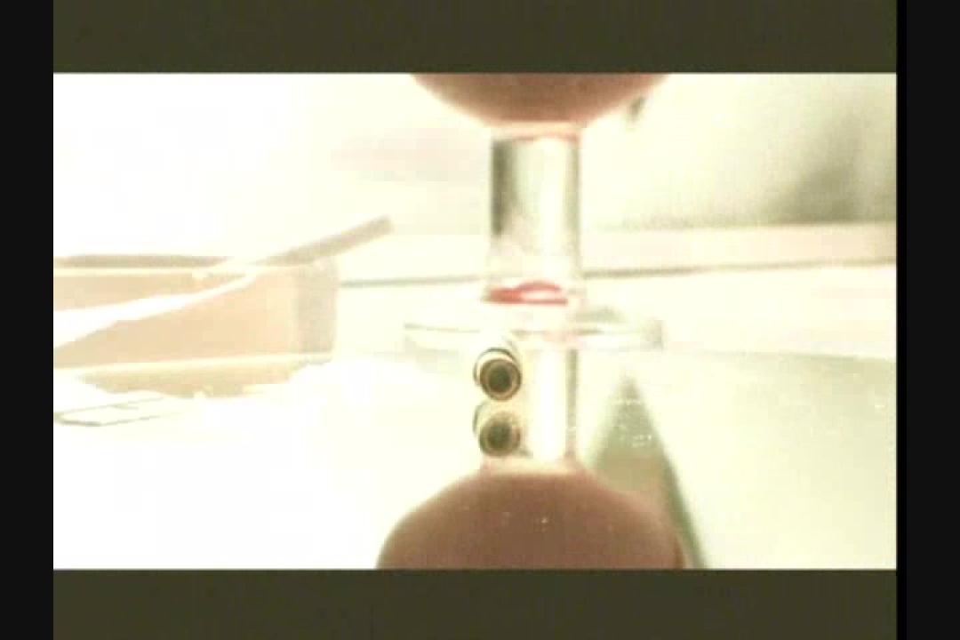 Steal Runway サンプル画像4