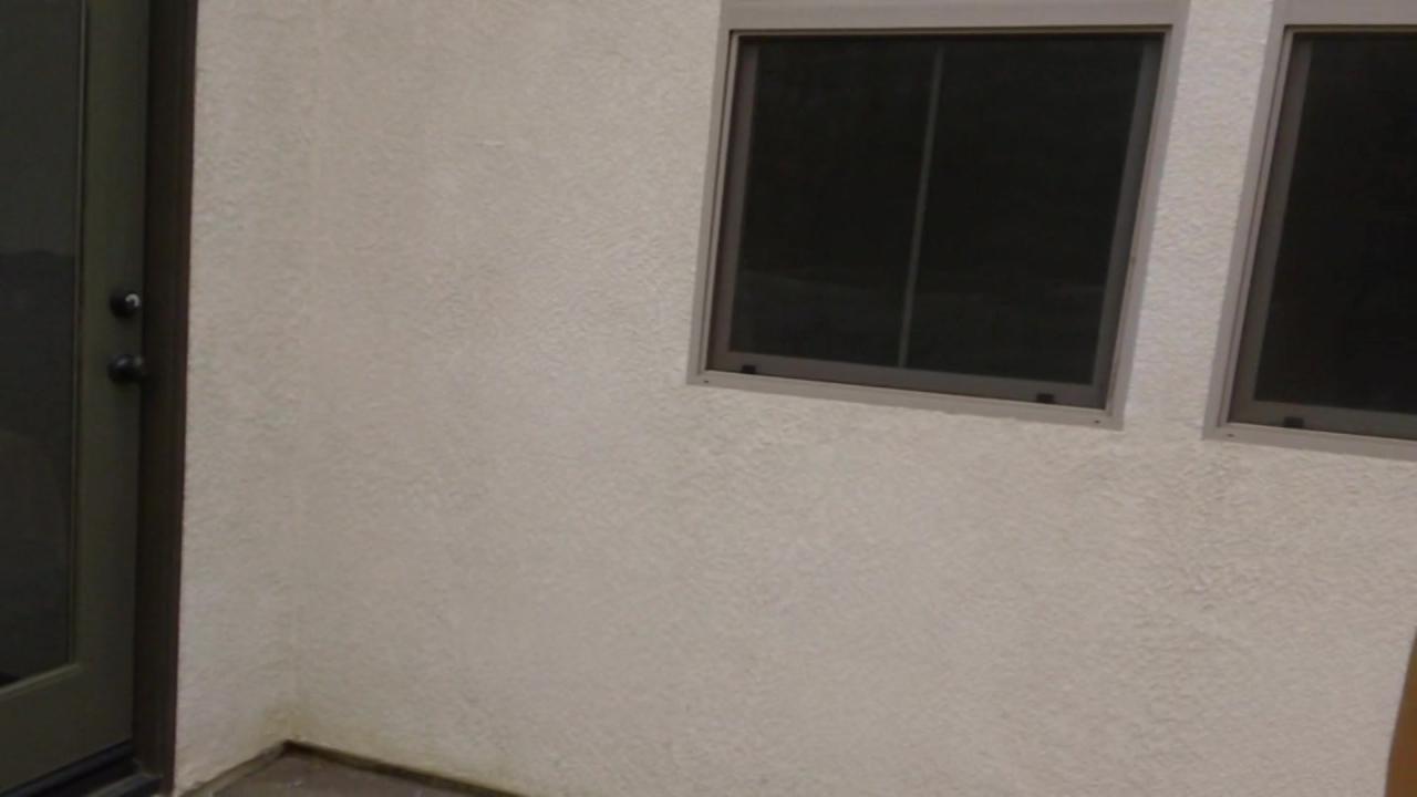 Up Close and Hardcore 5 サンプル画像