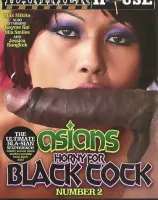 アジアンズ ホーニー フォー ブラック コック Vol.2