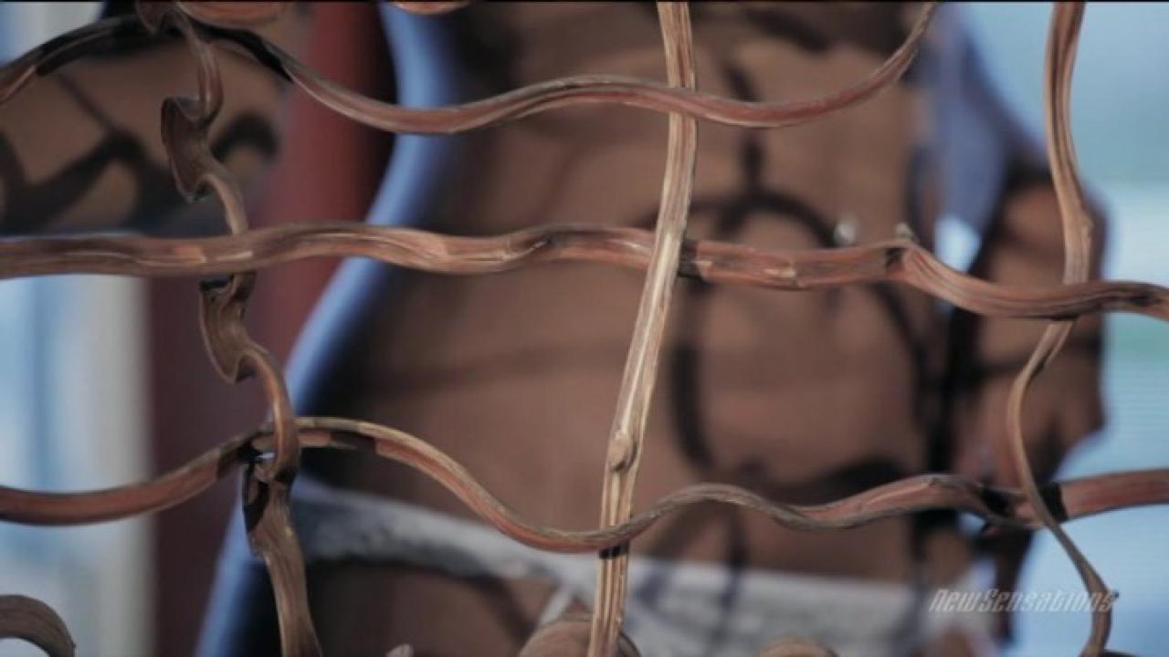 Sexual Chocolate (2 DVD Set) サンプル画像
