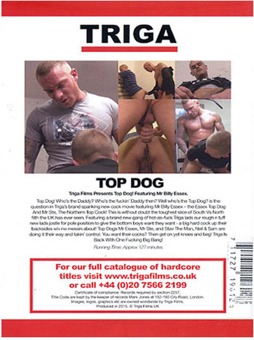 Top Dog サンプル画像