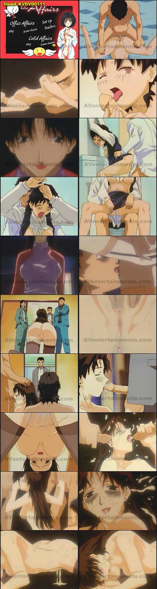 The Affairs　（リージョン１） サンプル画像