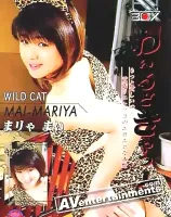 AV ボックス VOL.45 わいるどきゃっと