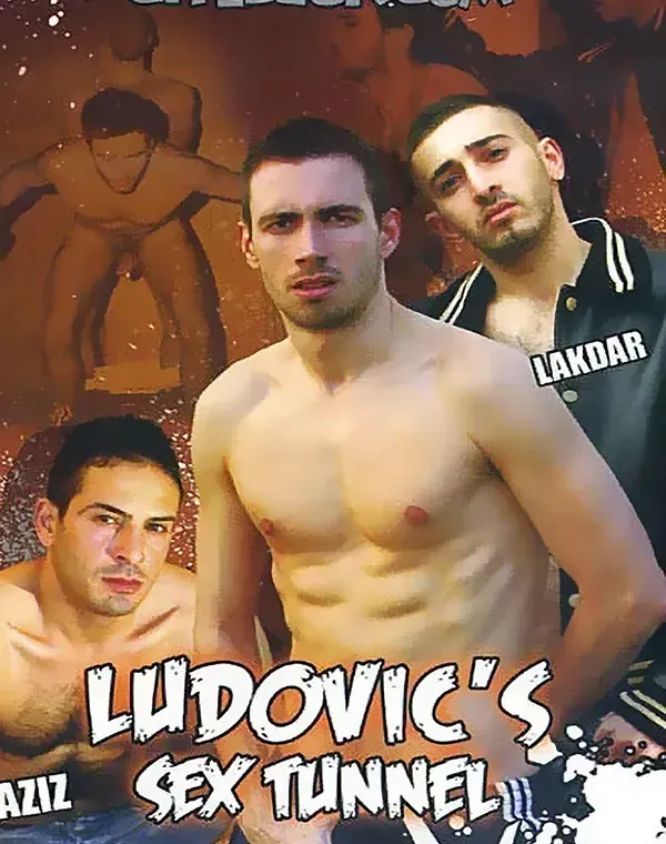 Ludovic's Sex Tunnelダウンロード