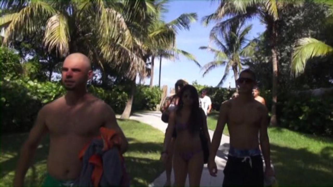 Miami Beach Party サンプル画像5
