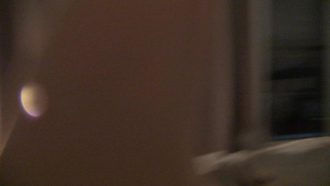 Nikki Hearts & Leigh Raven's Real Fucking Lesbians: Coast To Coast サンプル画像