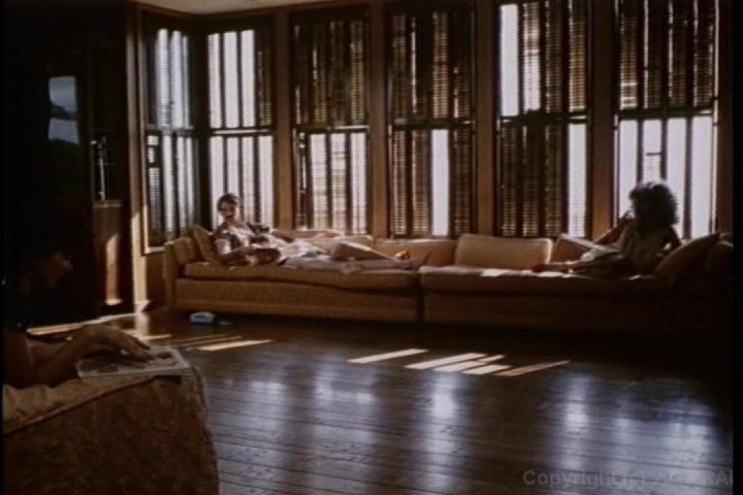 Annette Haven Screws The Stars サンプル画像