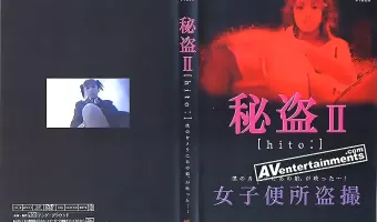 Hito II: 秘盗 II