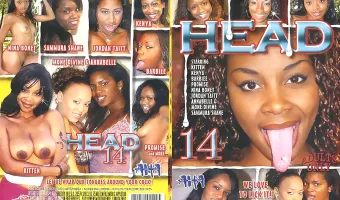 Head 14