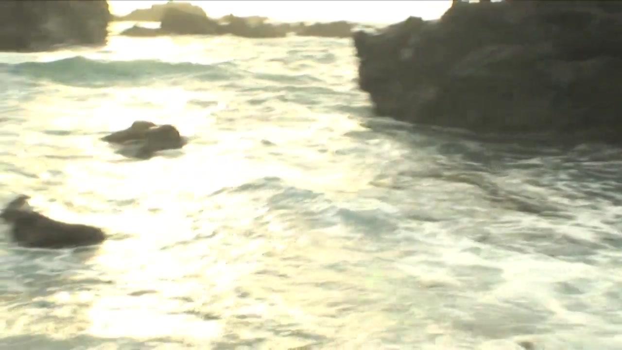 Teradise Island 2 サンプル画像40