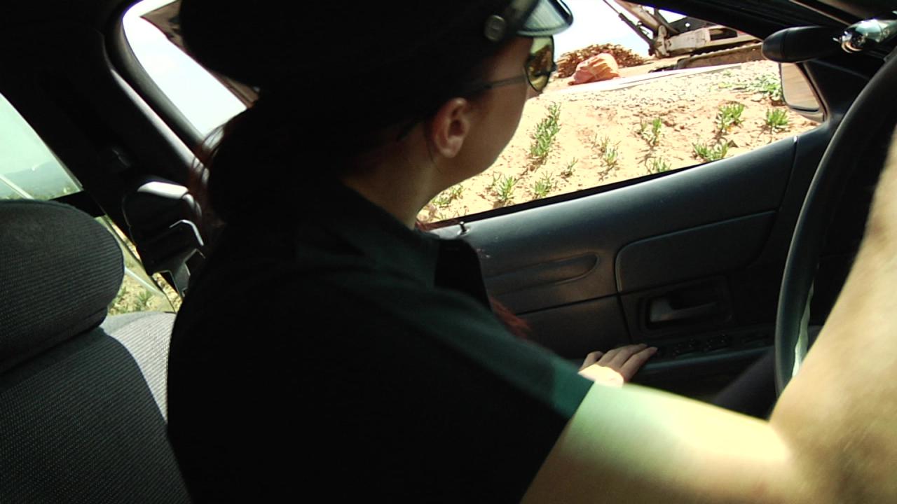 Busty Cops On Patrol (Blu-Ray) サンプル画像