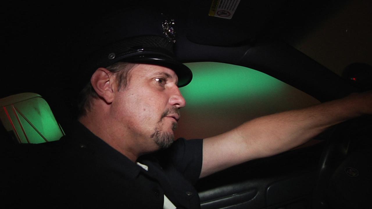 Busty Cops On Patrol (Blu-Ray) サンプル画像