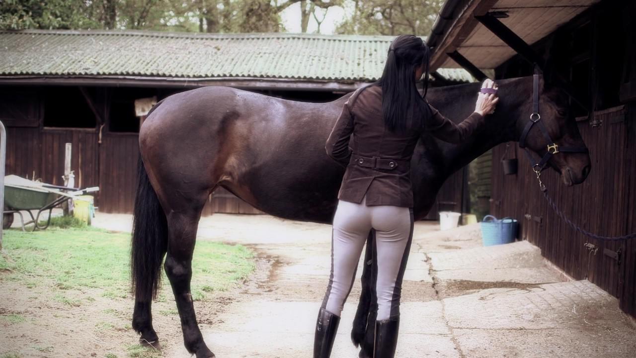 The Mademoiselle's Stallions サンプル画像15
