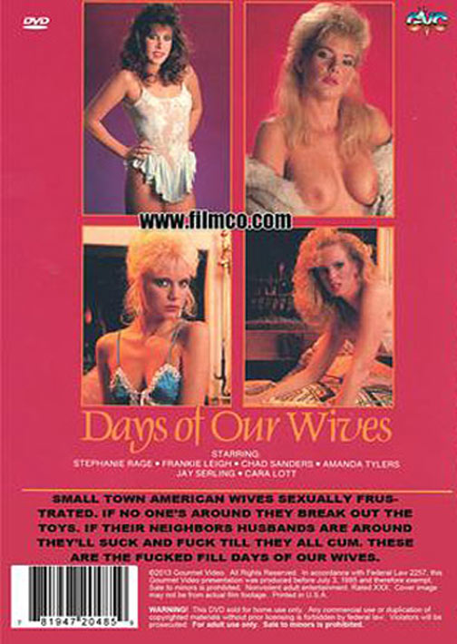 Days Of Our Wives (**DVD-R Disc**) サンプル画像