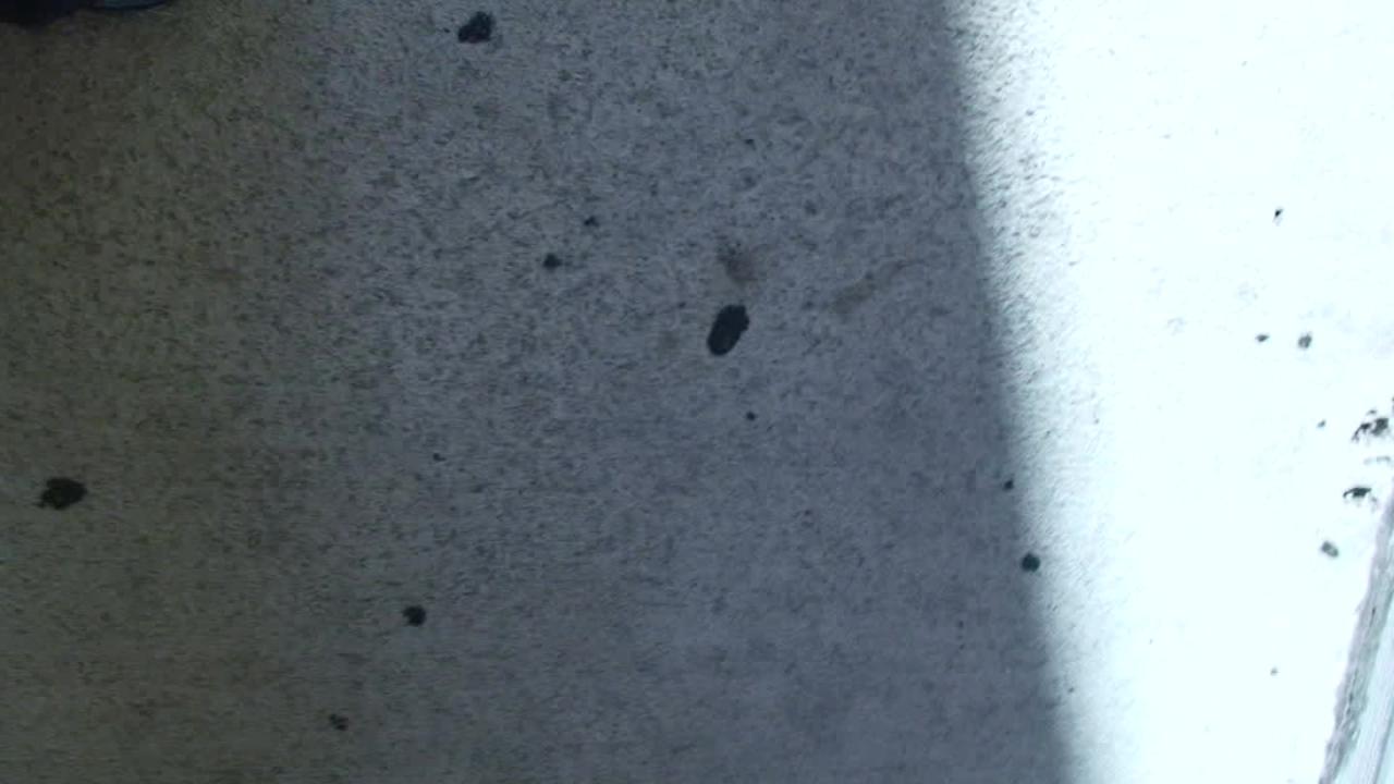 Up Close and Hardcore サンプル画像