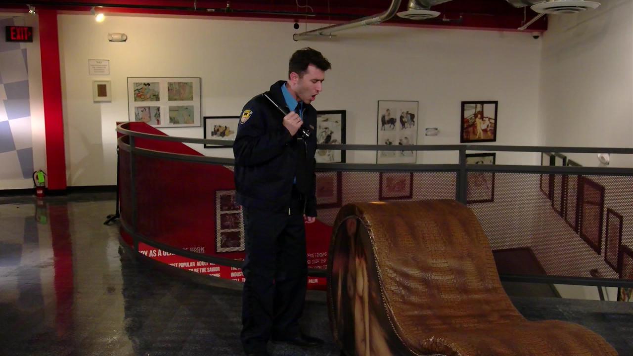 Night At The Erotic Museum サンプル画像