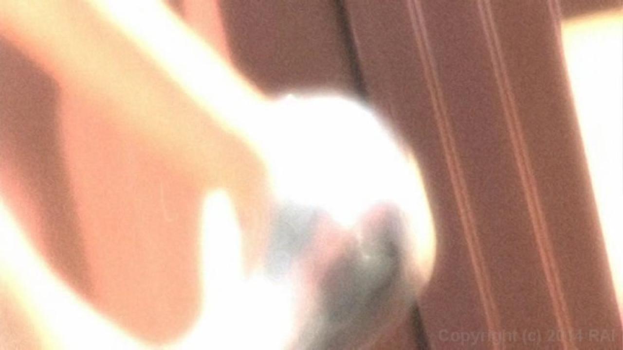 Cock Grinder: Brea Bennett サンプル画像9