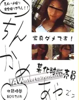 ちんかめ15