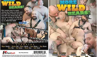 More Wild Bears