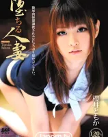 堕ちる人妻 : 櫻井ともか