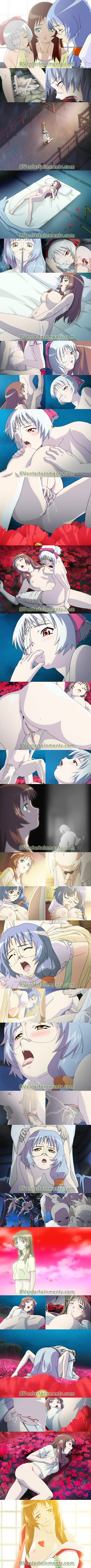 蛍子 第三夜 (リージョン 1) サンプル画像