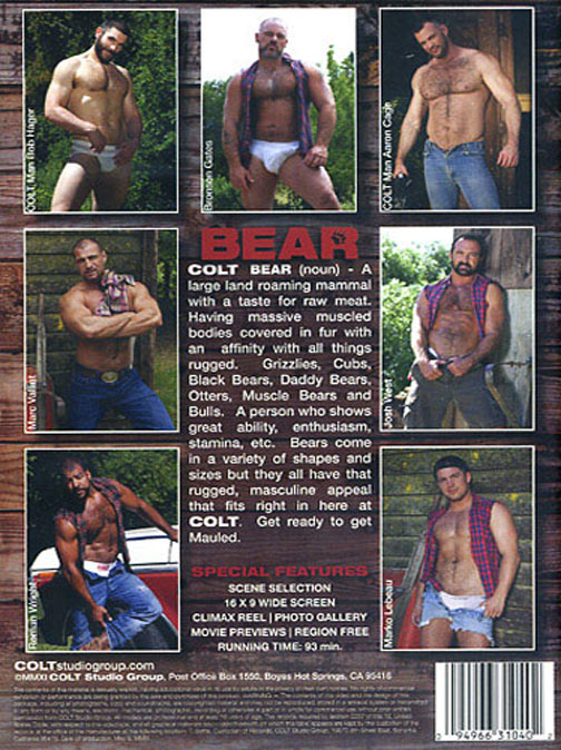 Bear サンプル画像