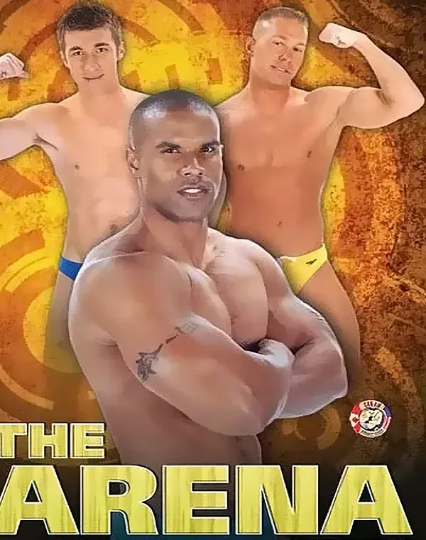 The Arena 4ダウンロード