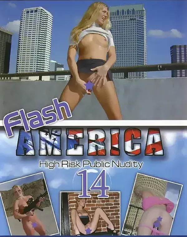 Flash America 14ダウンロード
