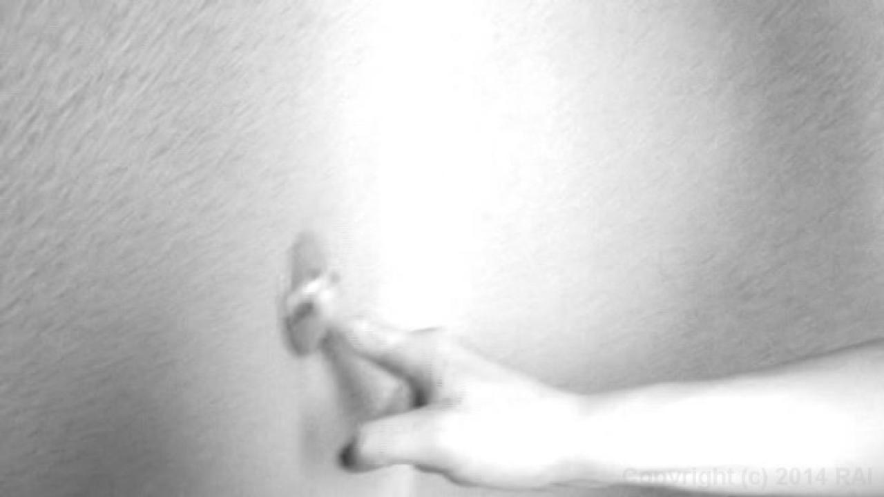 Half-Way House Amateurs サンプル画像10