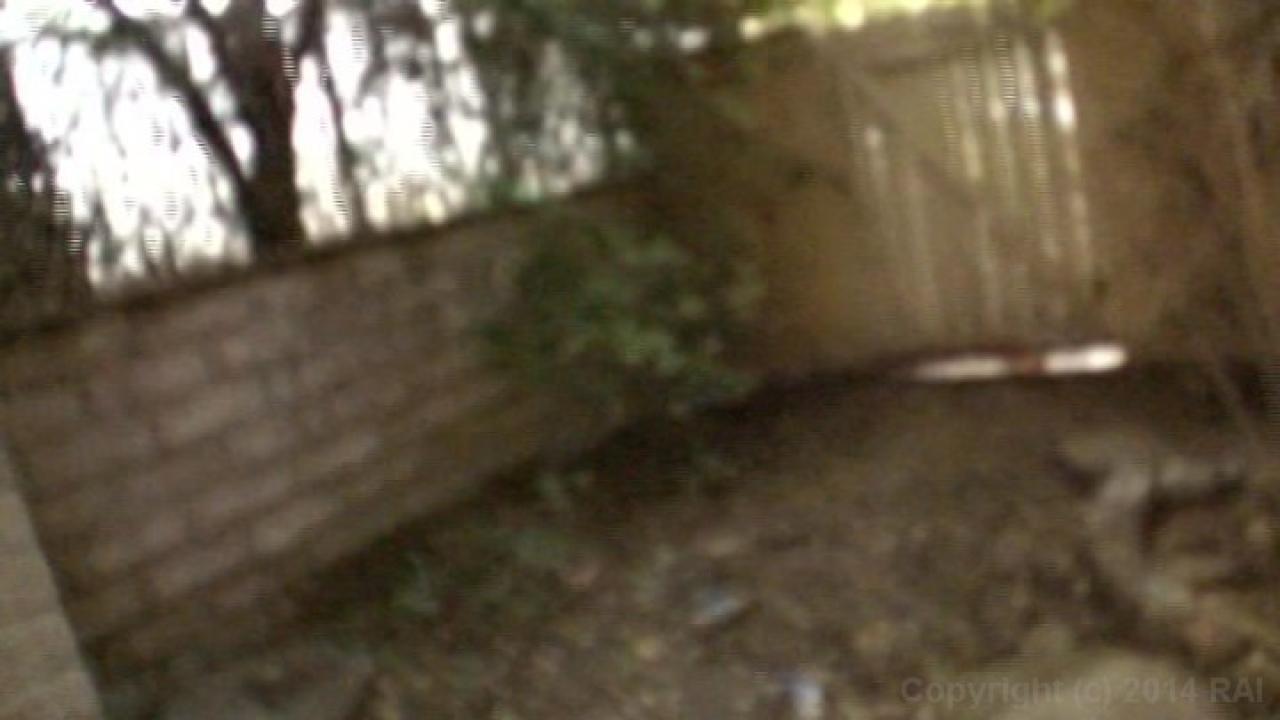 Half-Way House Amateurs サンプル画像24