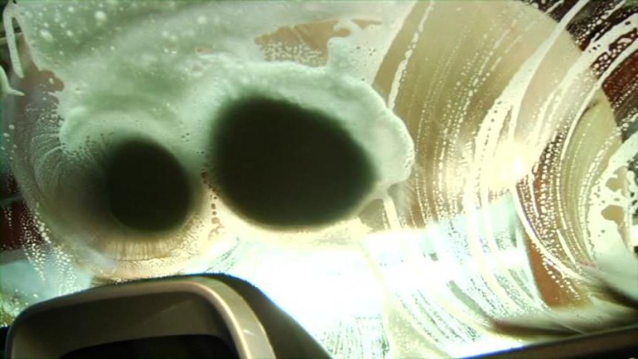Banging Wet Asses (2 DVD Set) サンプル画像