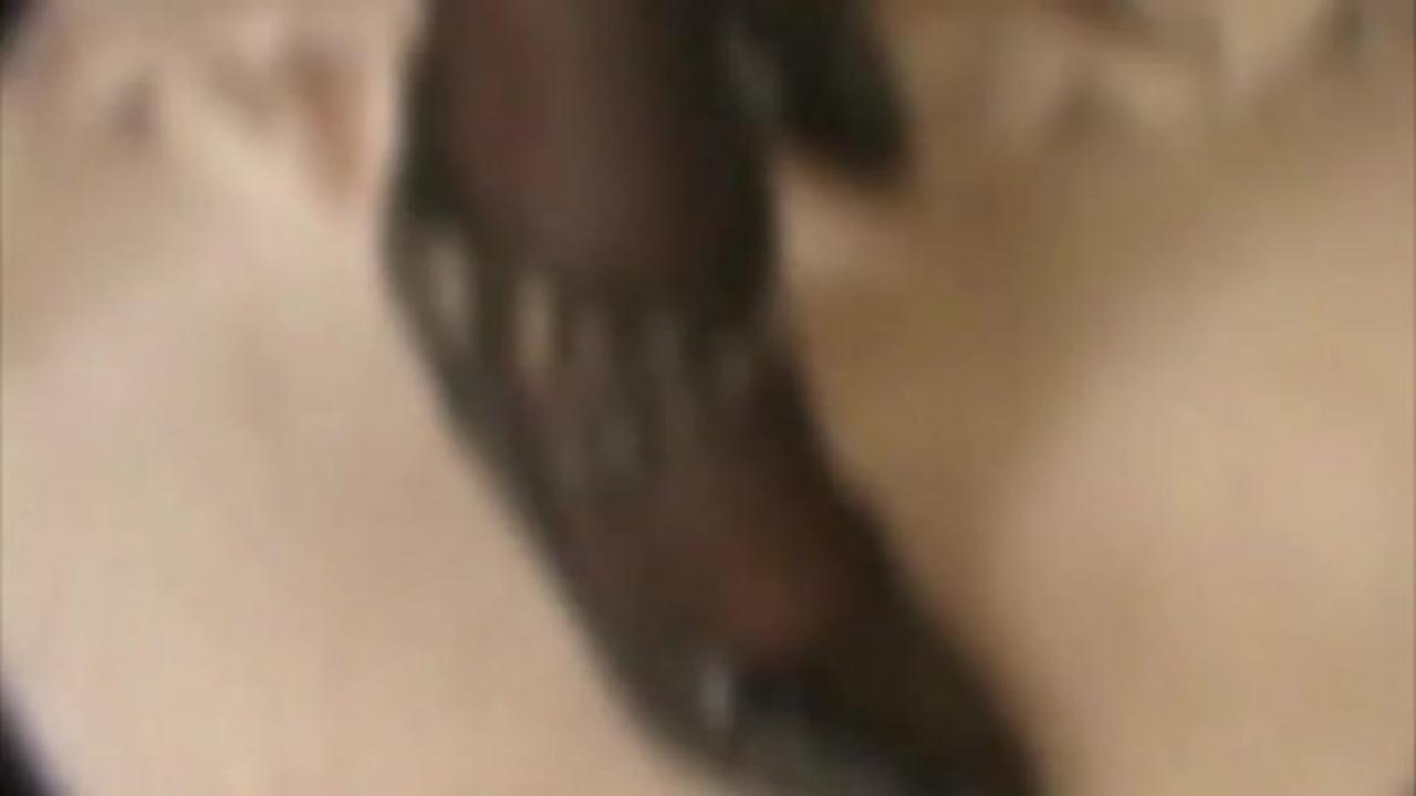 Let's Fuck My Wife 2 サンプル画像