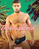 Thoroughbred