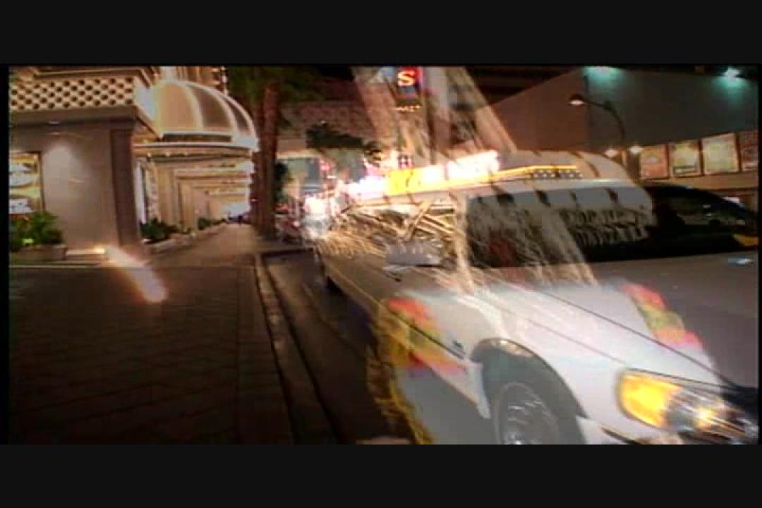 Larry Flynt's Private Collection : Asian Fever サンプル画像