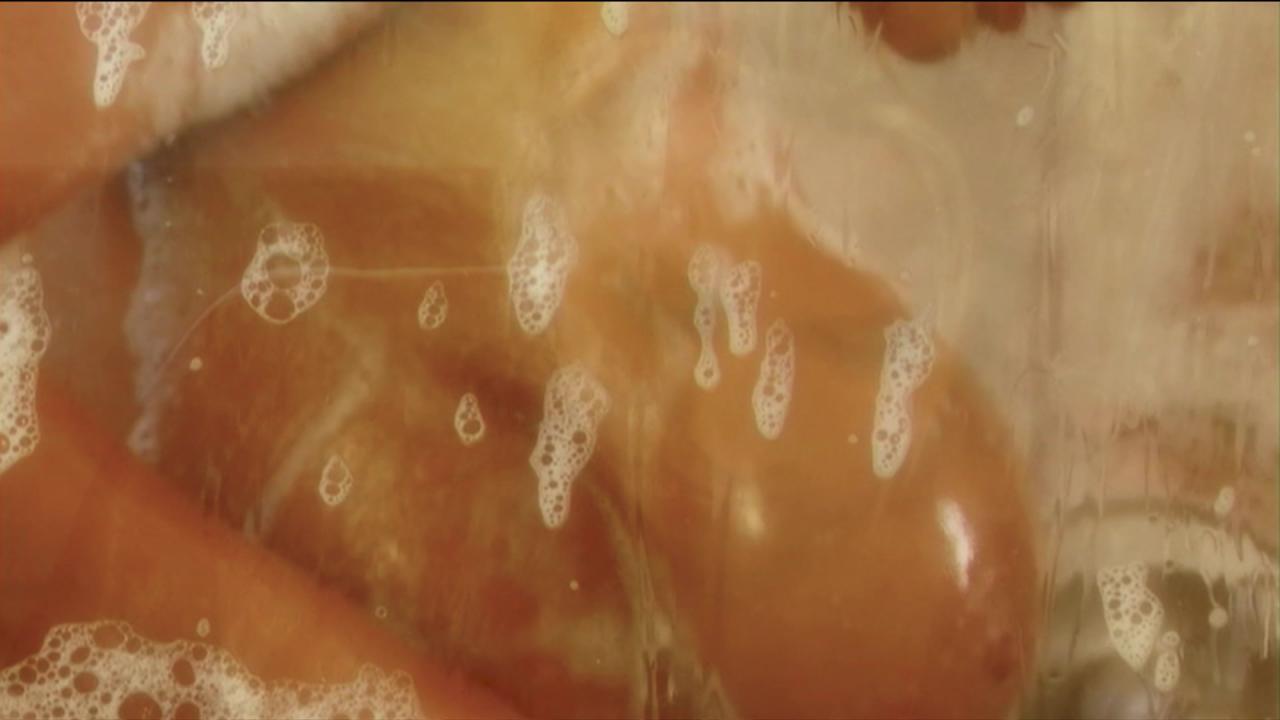 Wet Bomb Shell Blondes サンプル画像