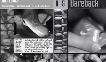 Bareback 1 (**DVD-R Disc**)