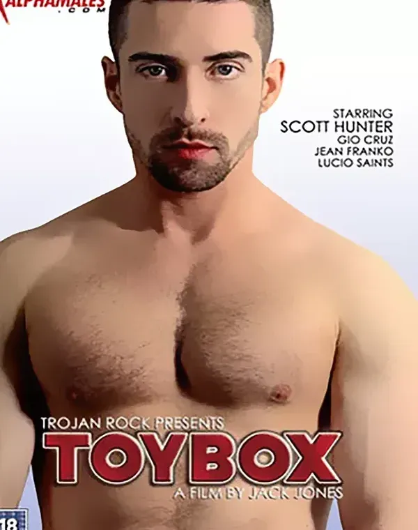 Toy Boxダウンロード