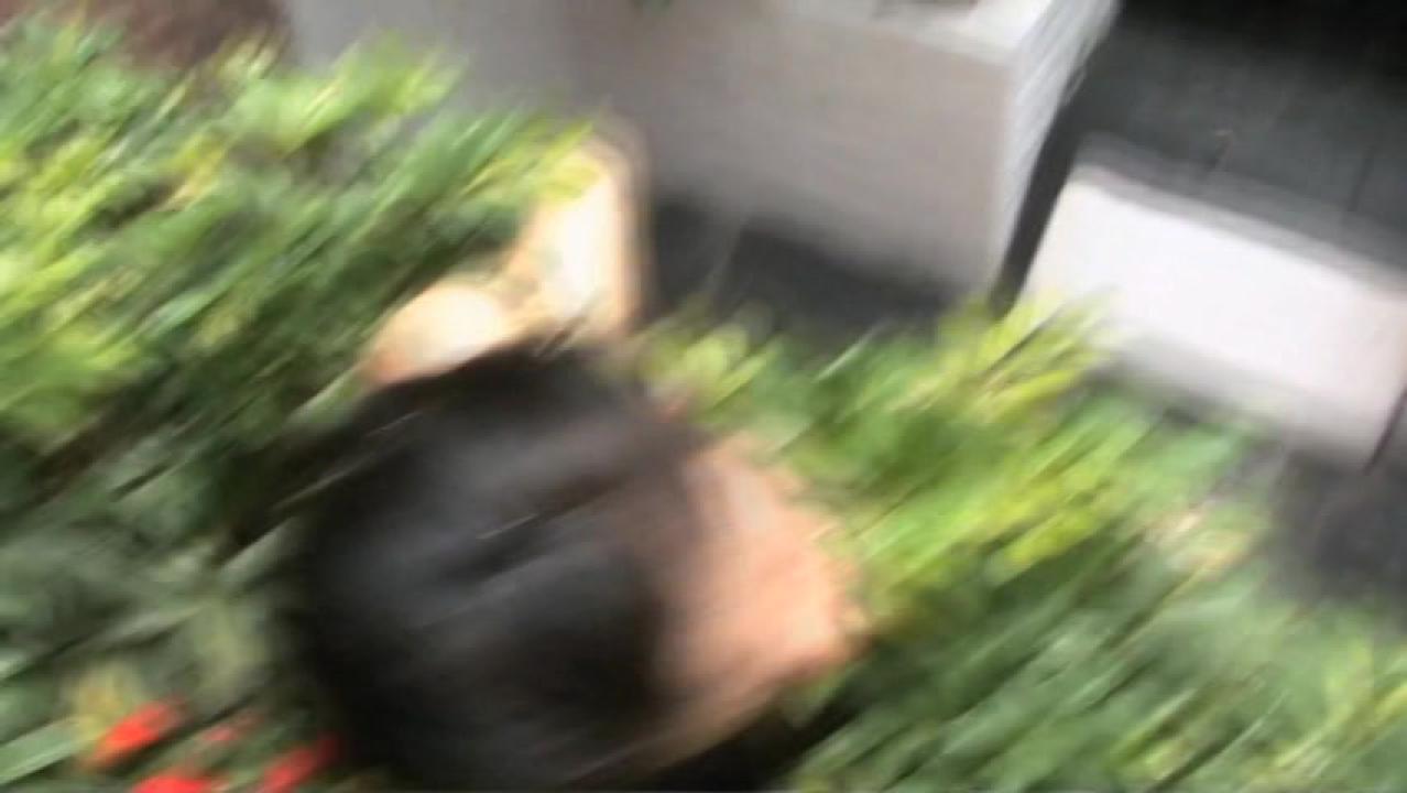 Backyard Fucks 3 サンプル画像