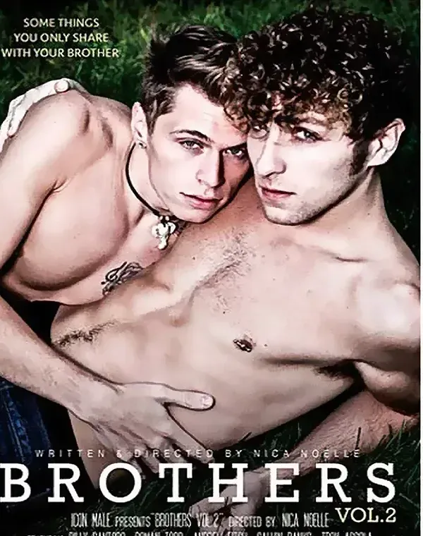 Bros 2ダウンロード