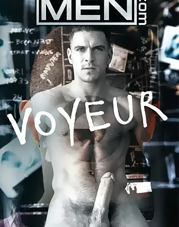 Voyeurダウンロード