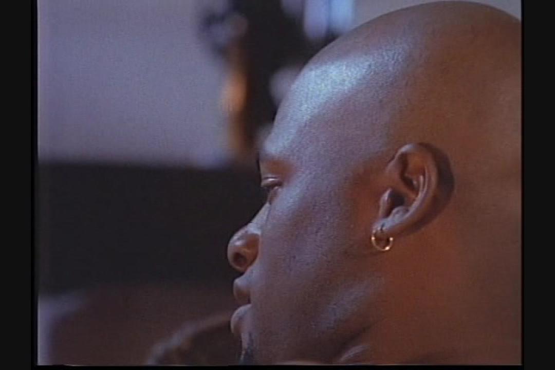 69 Scenes: Black Dicks In White Chicks (2 DVD Set) サンプル画像